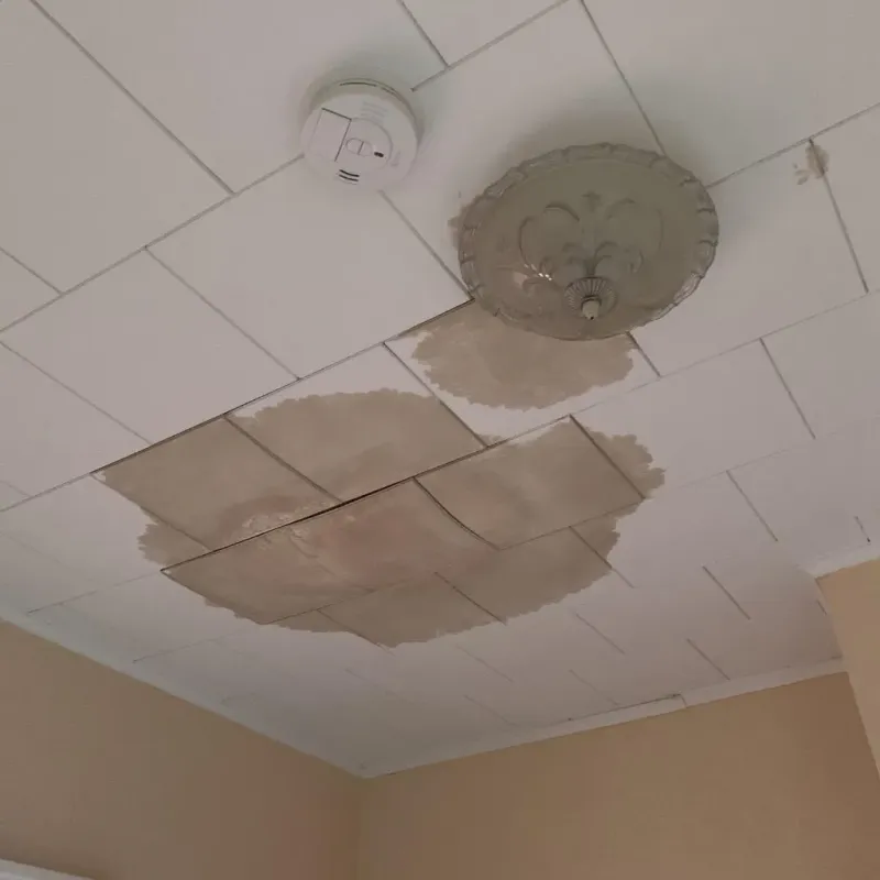 Ceiling Water Damage Repair in Church Point, LA